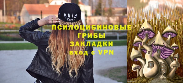 дживик Вязники