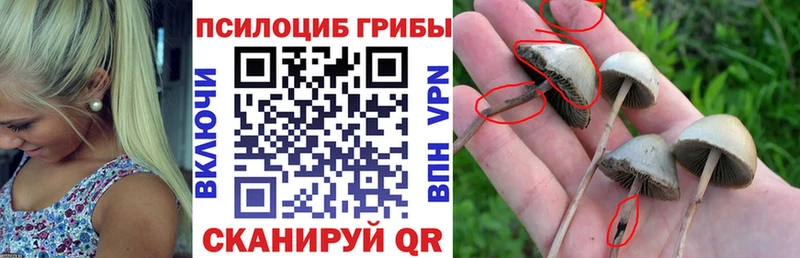 Галлюциногенные грибы Magic Shrooms  Купить закладки  Сосногорск 